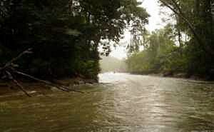 bayelsa-Ox-bow-lake_bayelsa rept