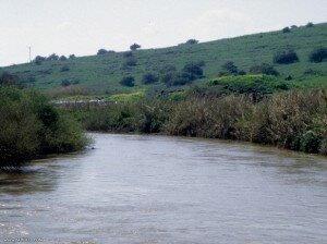 Osse river2 Osse River, Nigeria