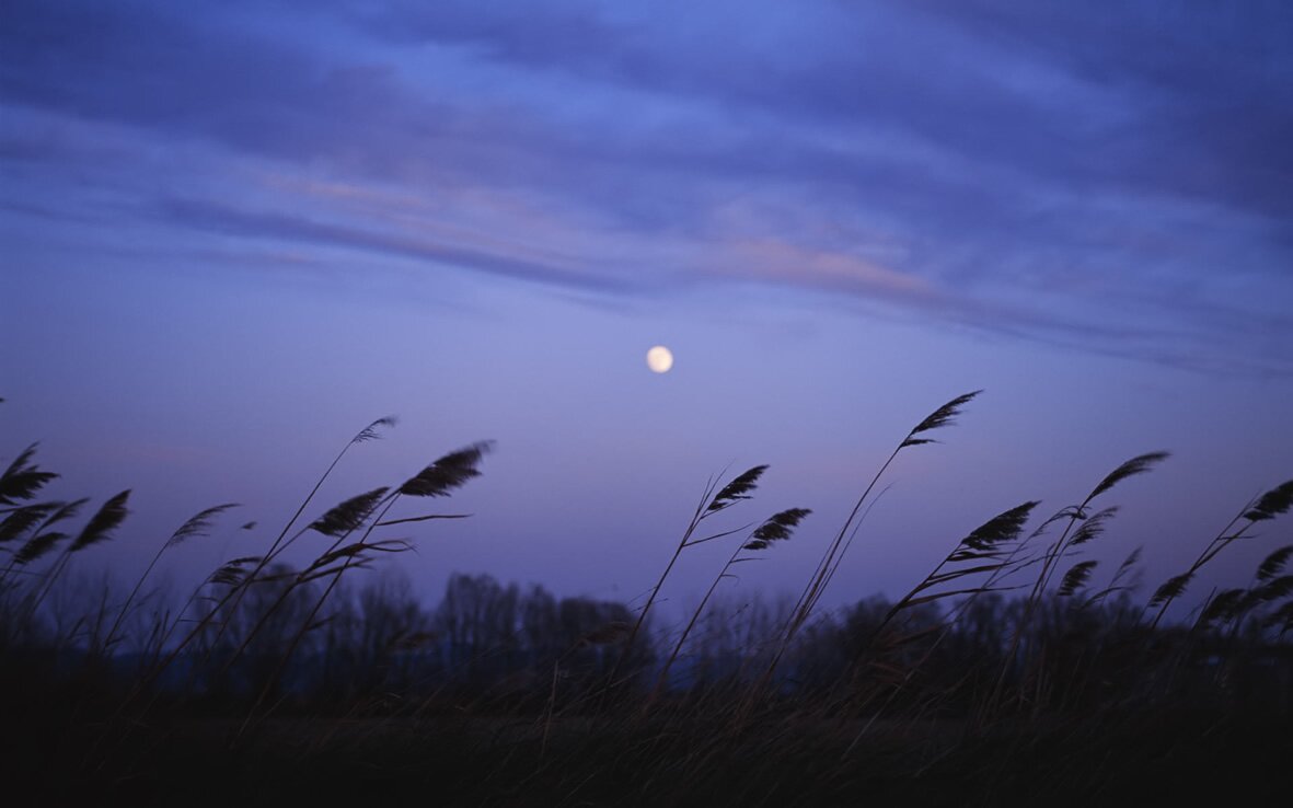 breeze_©wallpapers.free-review.net