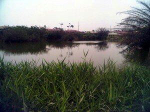 croc laake1 naijatreks.com