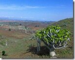 Travelogue Nigeria_Naijatreks Travelogue Nigeria_Naijatreks