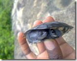 Travelogue Nigeria_Naijatreks Travelogue Nigeria_Naijatreks