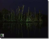 Travelogue Nigeria_Naijatreks Travelogue Nigeria_Naijatreks
