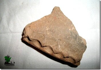 portsherd1
