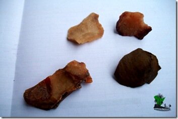 portsherd3
