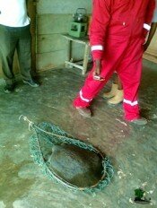 naijatreks.com