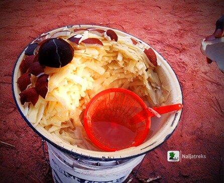Abacha_1_Naijatreks