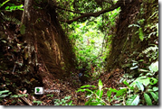 Travelogue Nigeria_Naijatreks Travelogue Nigeria_Naijatreks